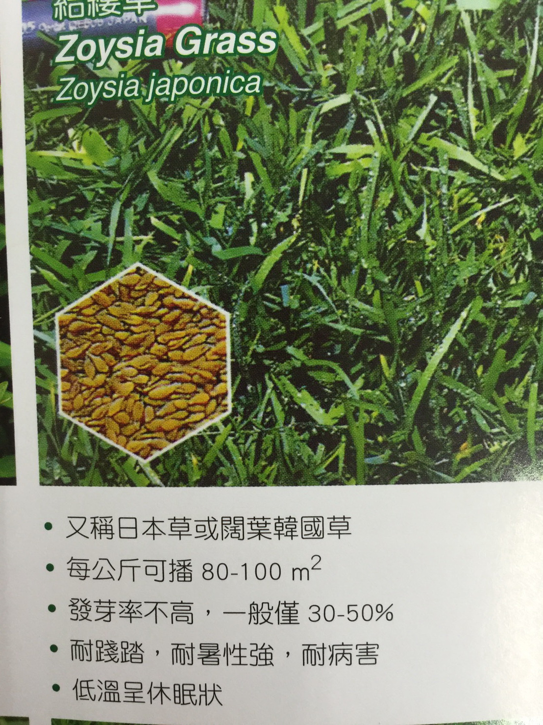 草皮種子批發零售