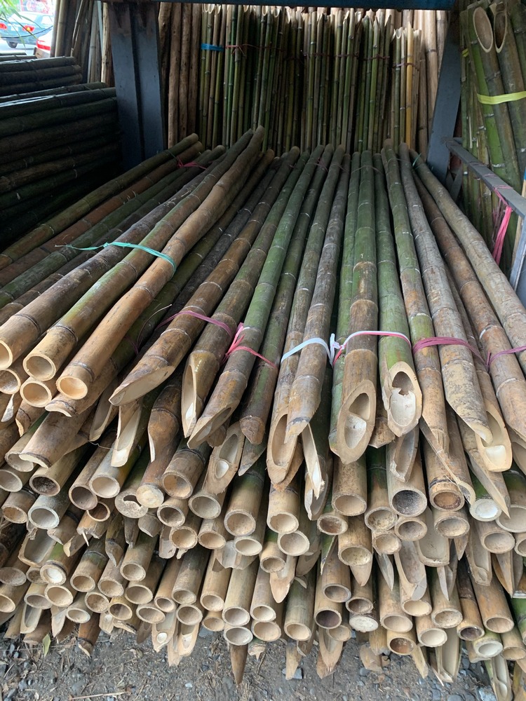 竹支架
