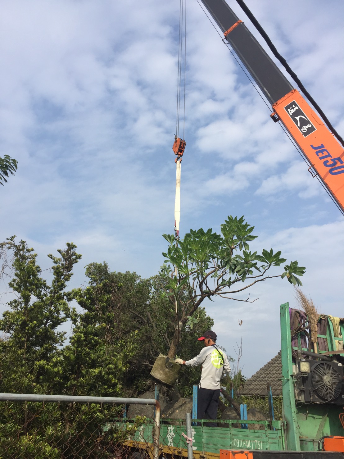 各種綠化樹木，灌木，草花