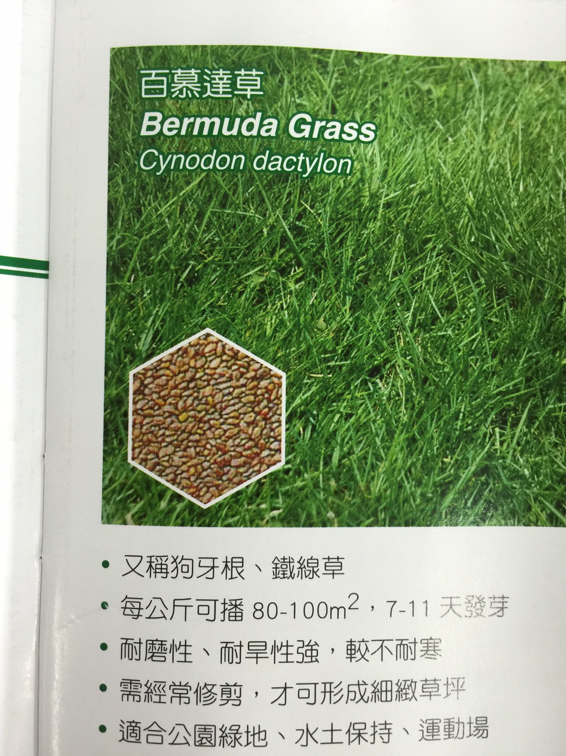 草皮種子批發零售