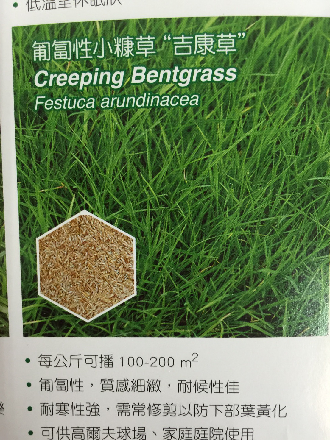 草皮種子批發零售
