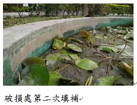 破損處第二次填補