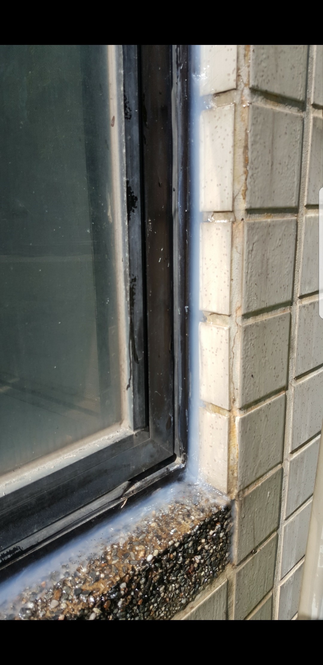 20170131_171228_0426