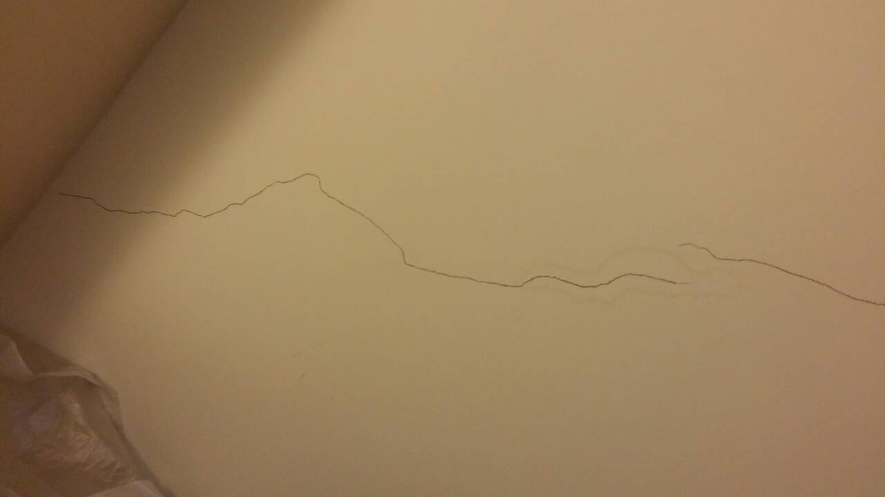 新竹北新街抓漏