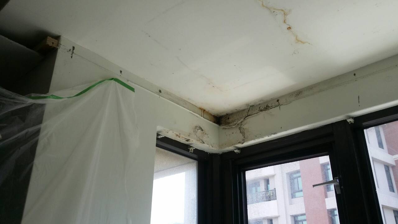 楊梅-興農街抓漏