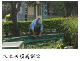 水池破損處割除