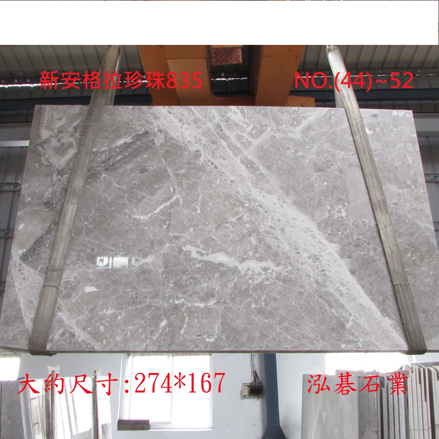 (新安格拉珍珠835