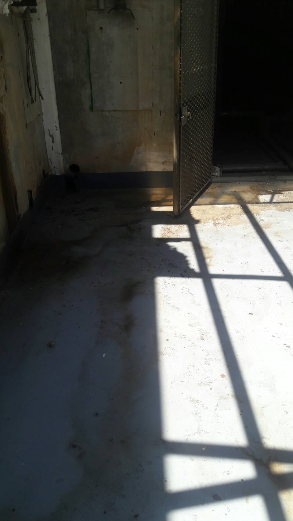 防水施工完5年回場保養