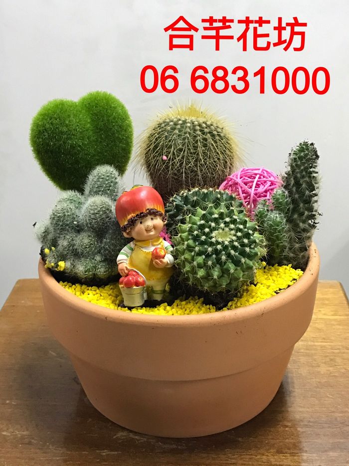 嘉義盆栽批發零售