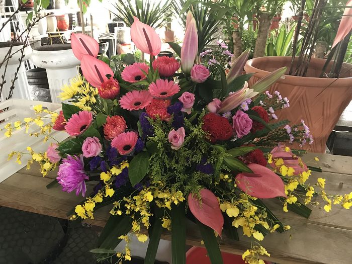 祝賀花籃,花柱25