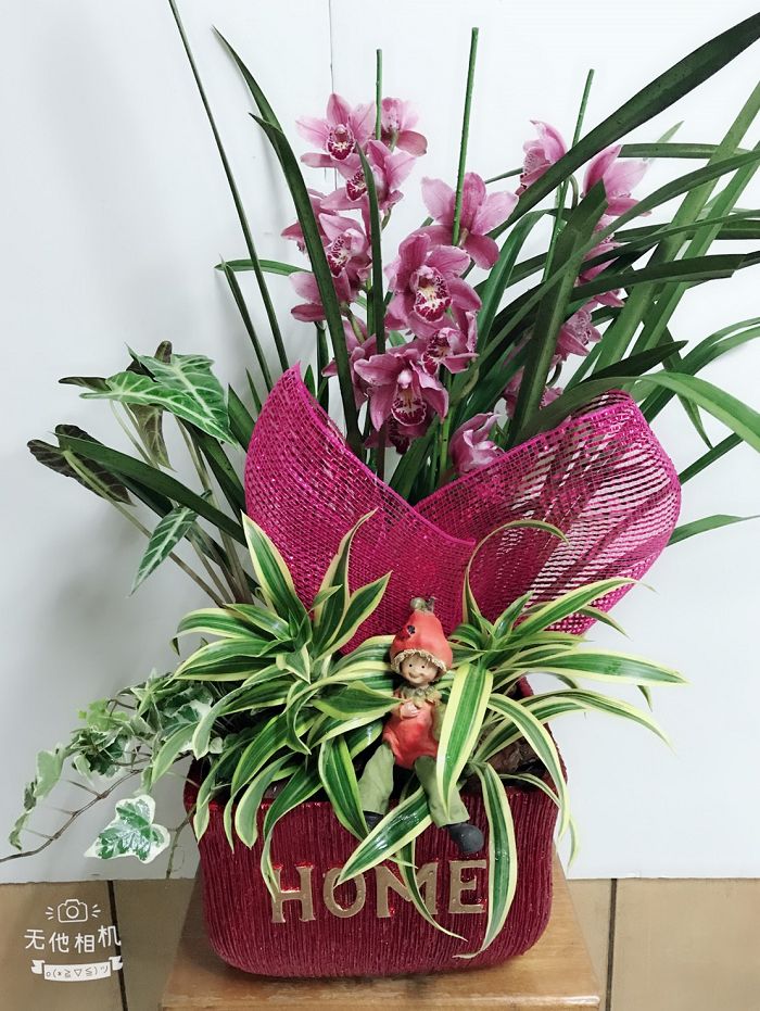 室內小盆栽03(001)