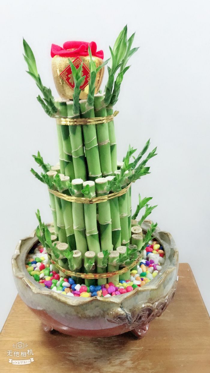 室內小盆栽10(001)