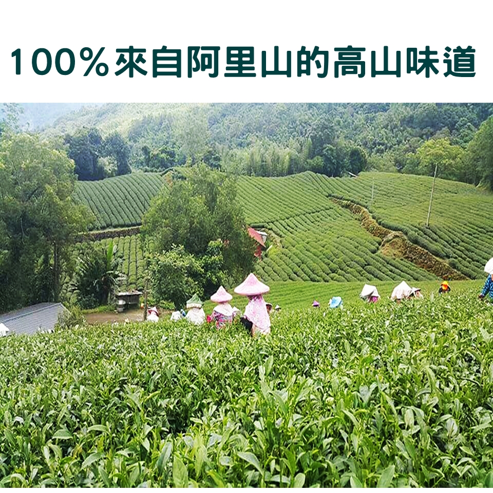 阿里山高山茶