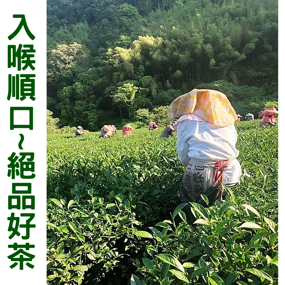 現代茶行