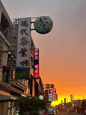 現代茶葉-嘉義阿里山茶