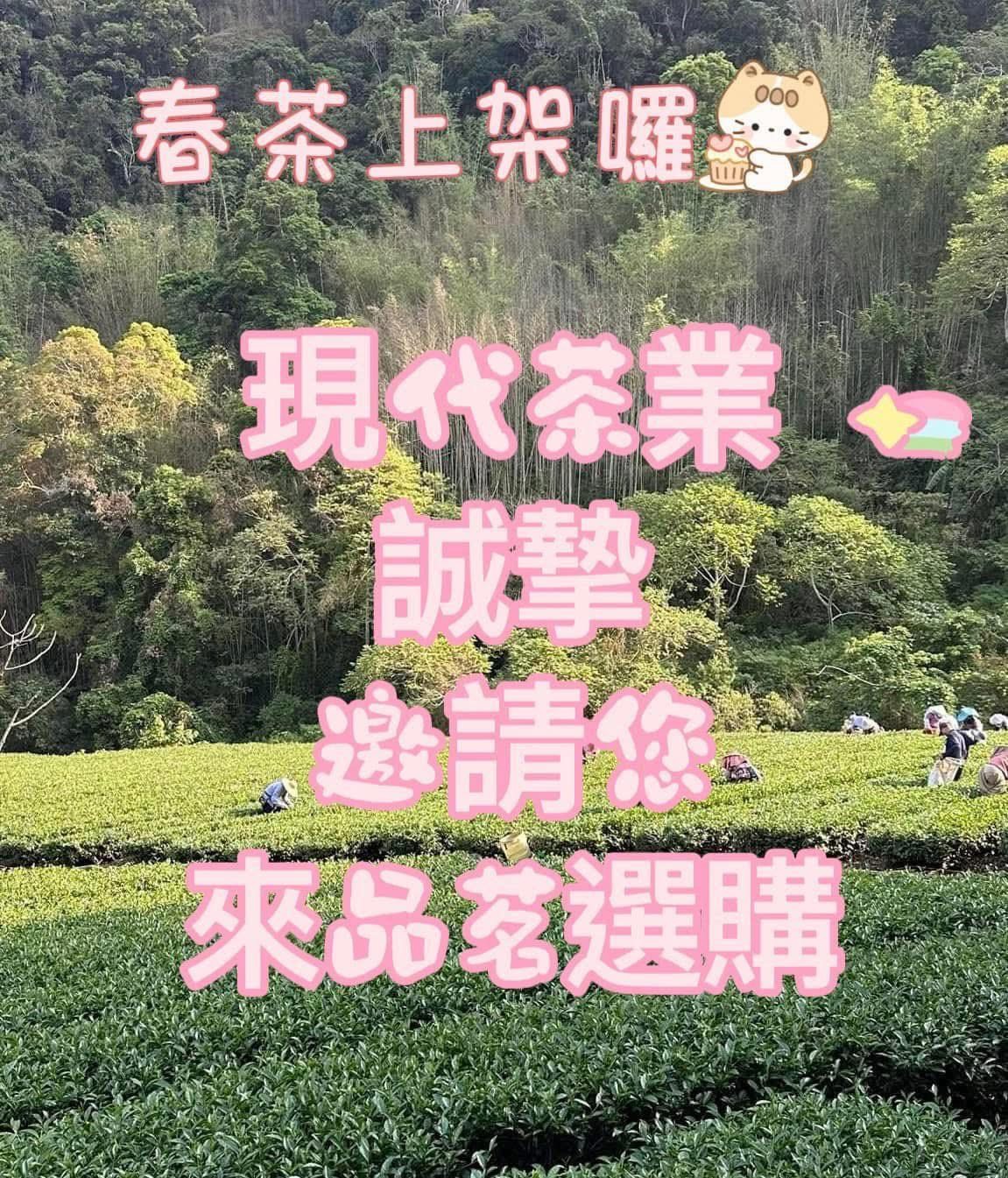 嘉義茶行-2026年春茶上市歡迎訂購
