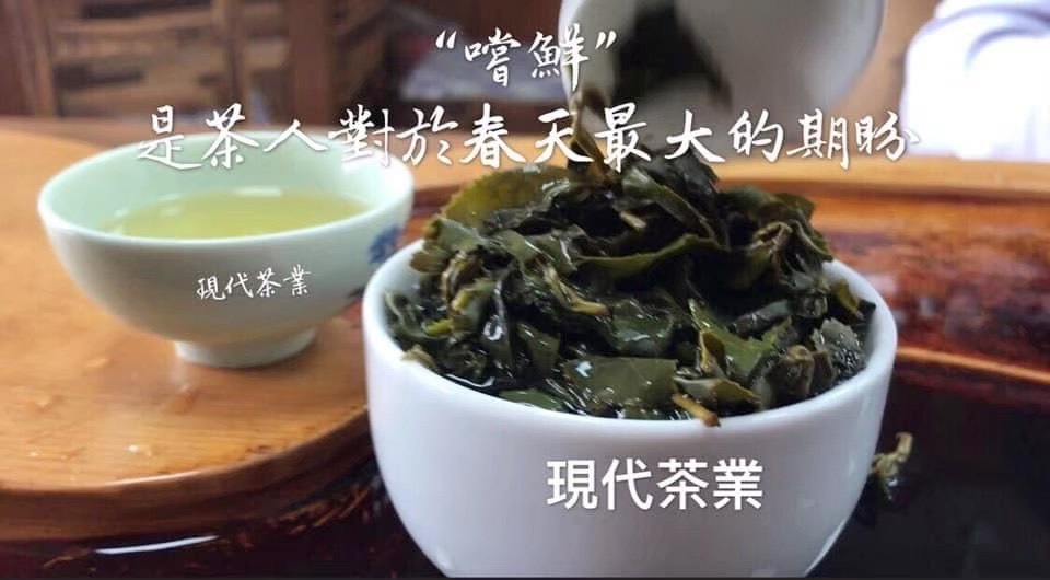 阿里山高山茶