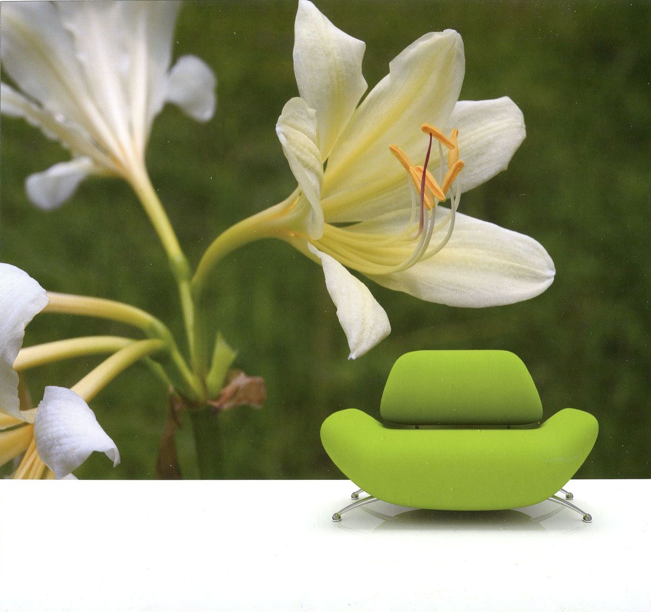 高雄時尚平價壁紙