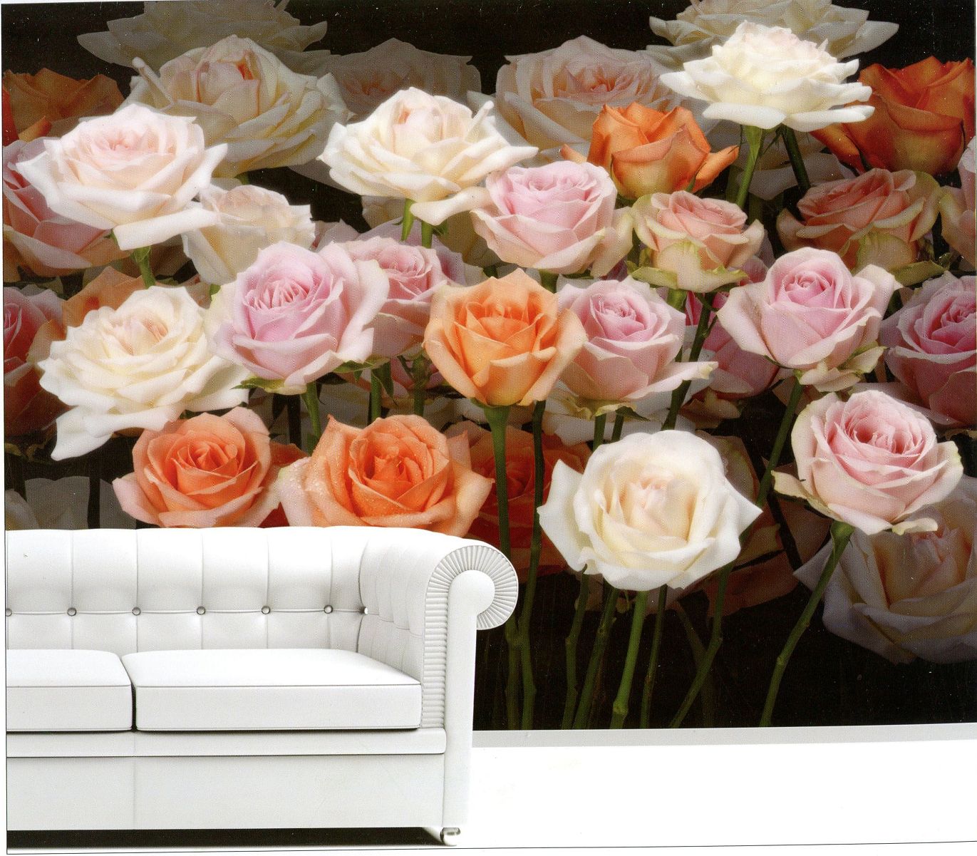 高雄鳳山時尚壁紙店