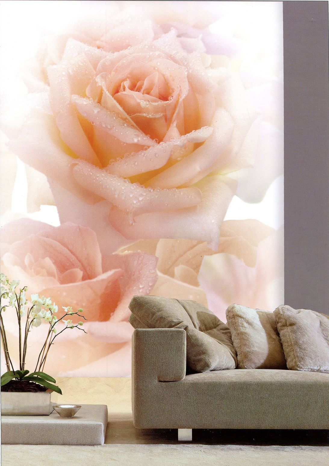 高雄鳳山壁紙店