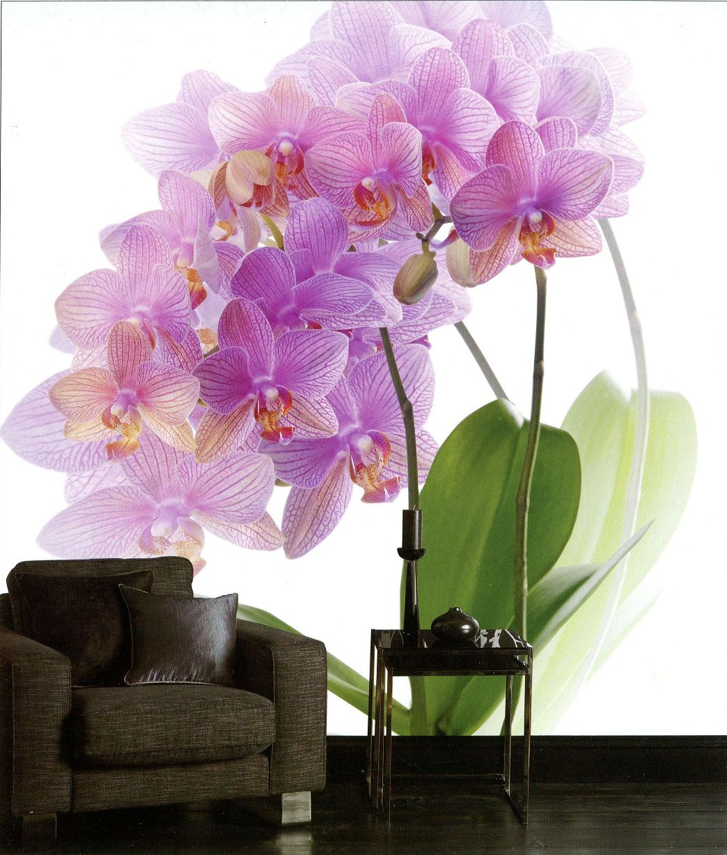 鳳山精美壁紙專賣店