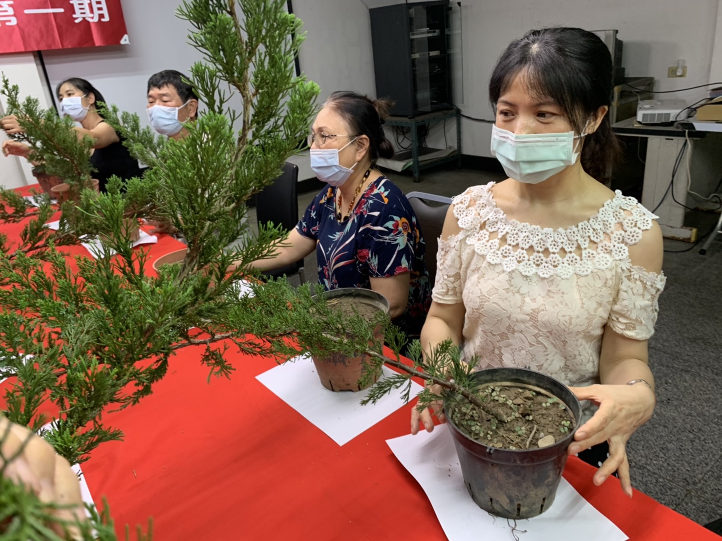 小品盆景創作班