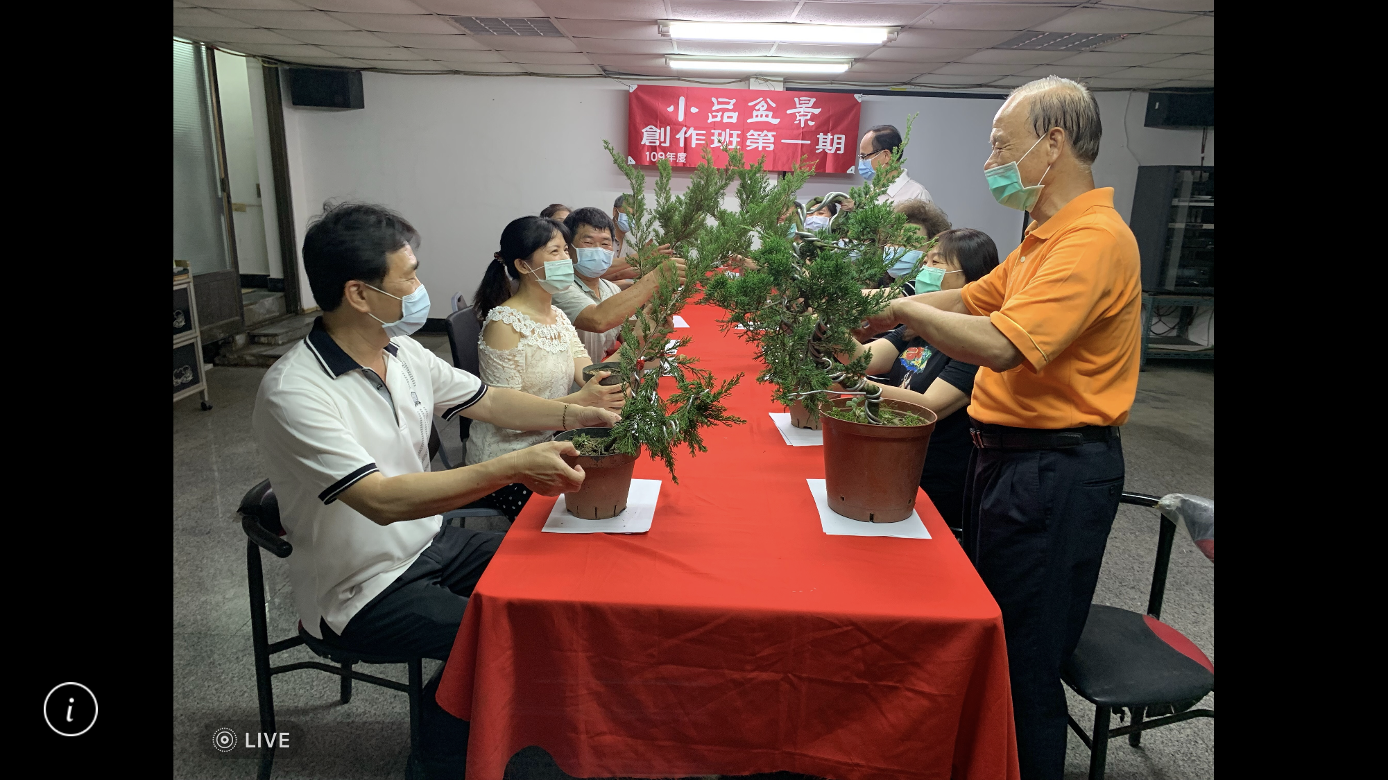 小品盆景創作班