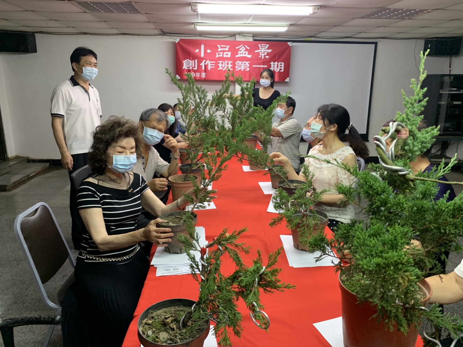 小品盆景創作班