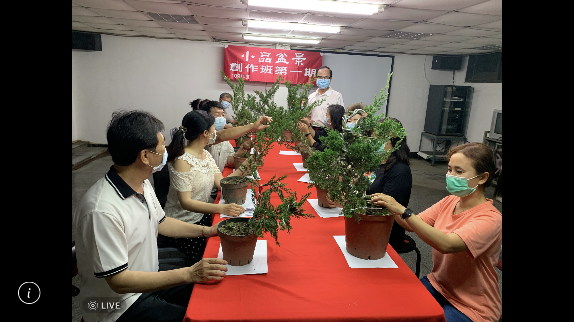 小品盆景創作班