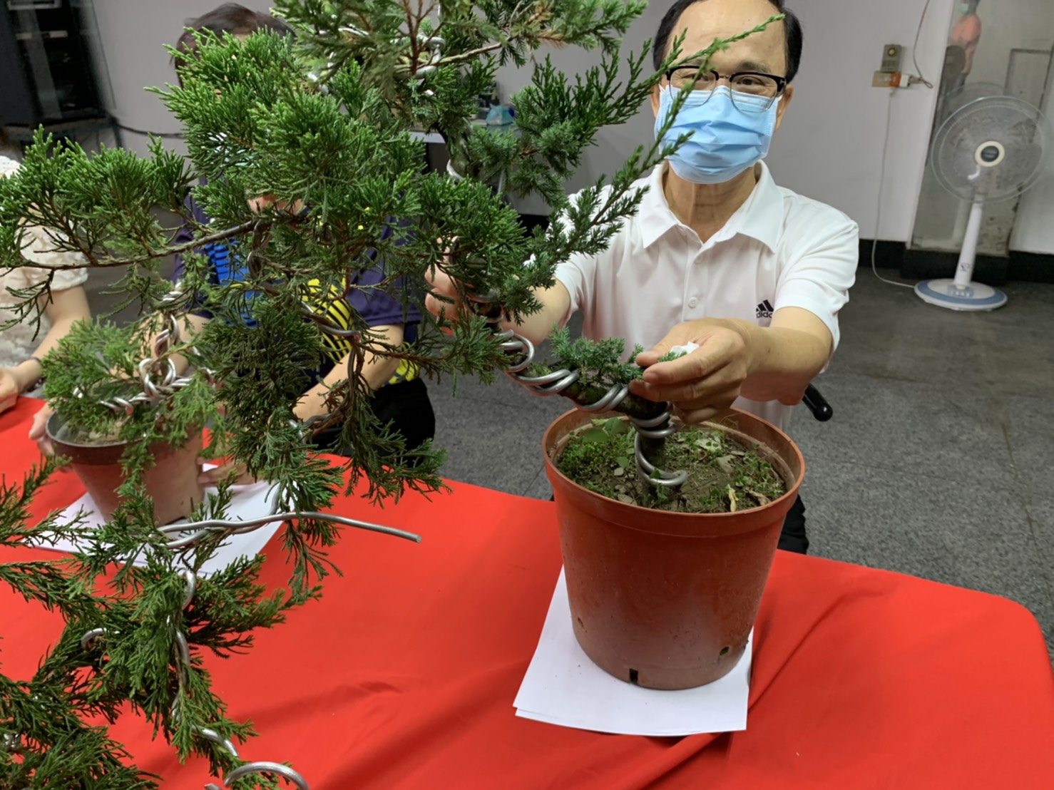 小品盆景創作班