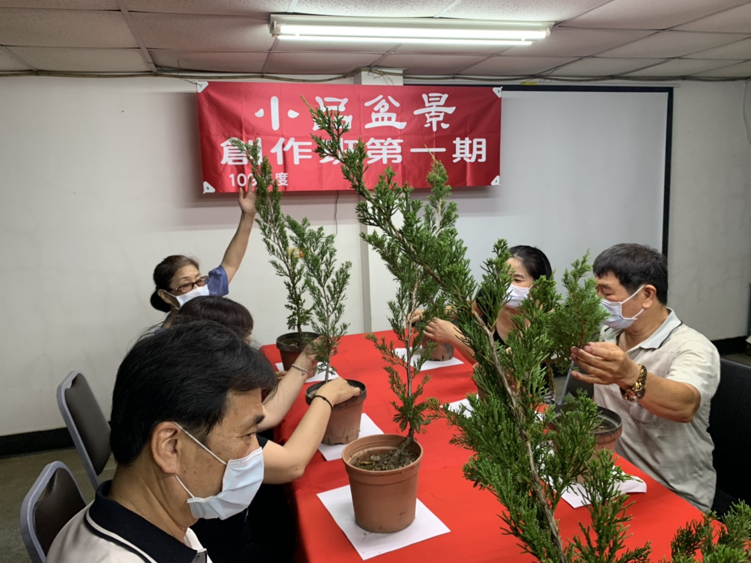 小品盆景創作班