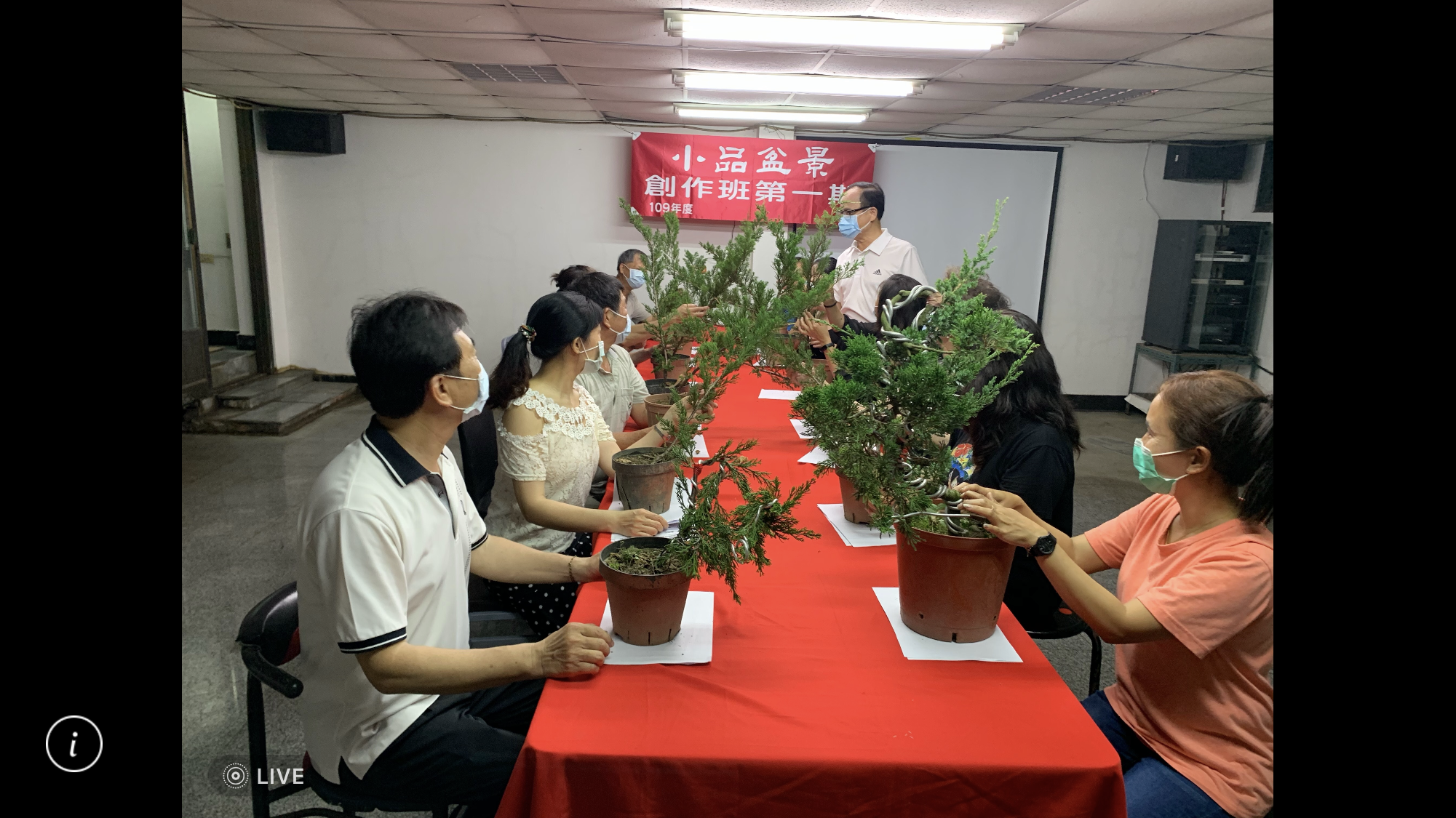 小品盆景創作班