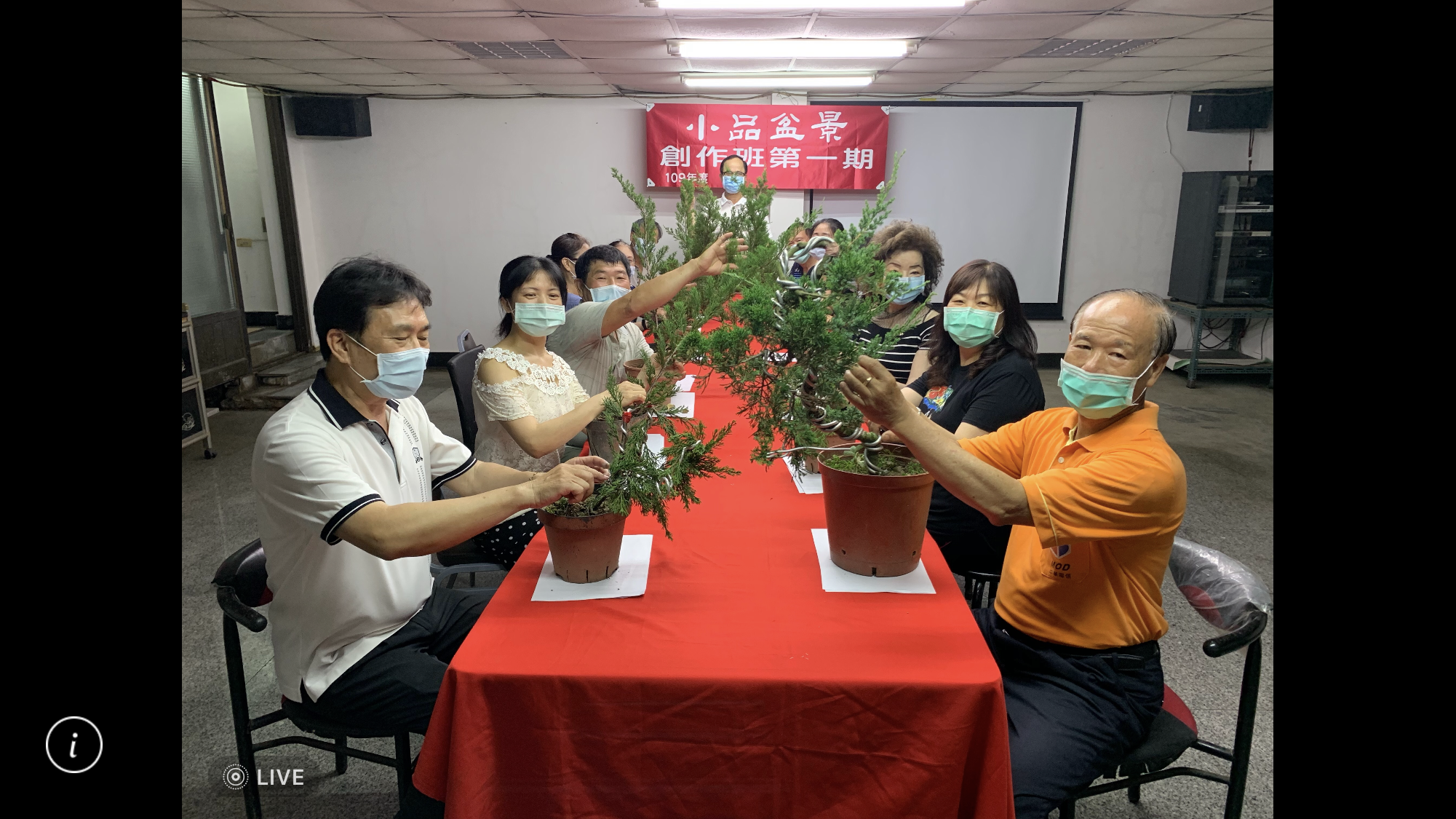 小品盆景創作班
