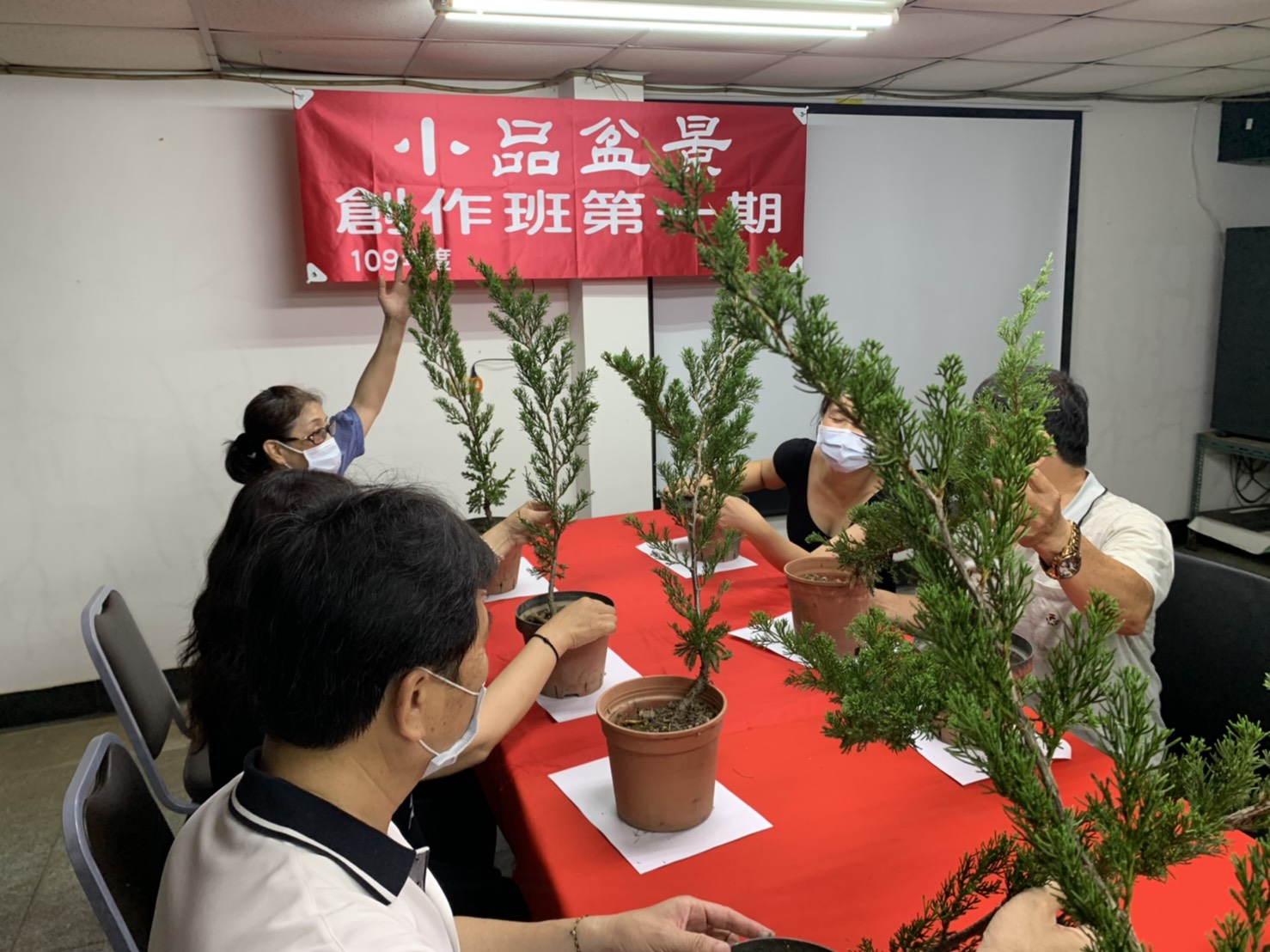 小品盆景創作班