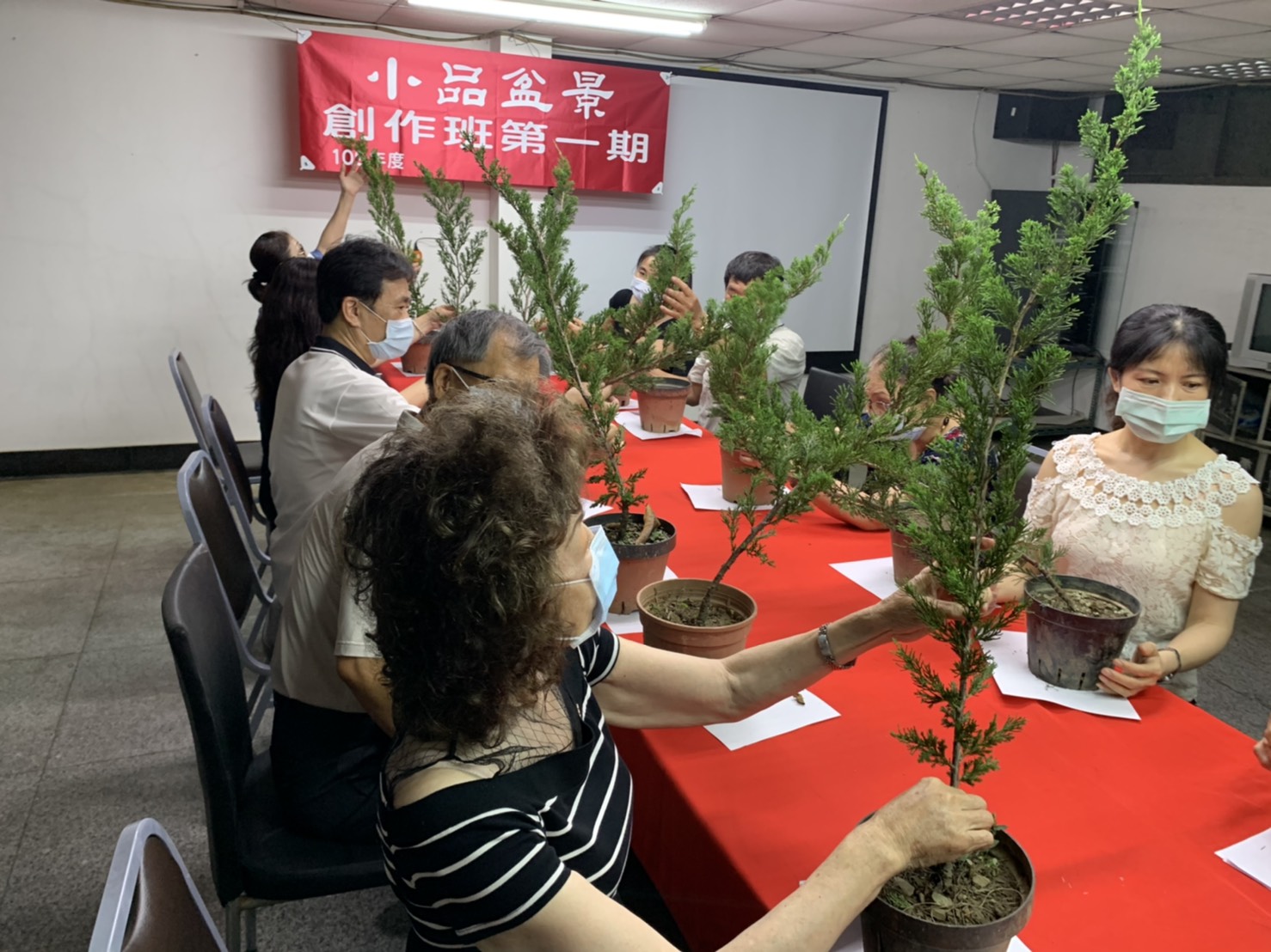 小品盆景創作班