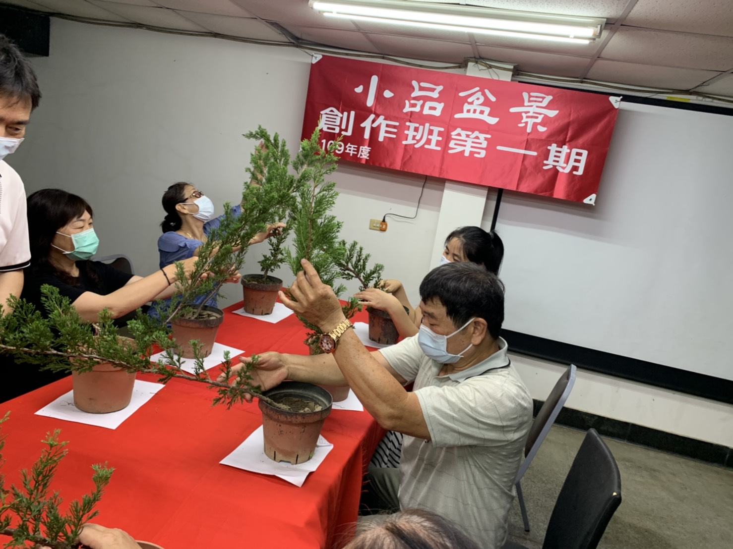 小品盆景創作班