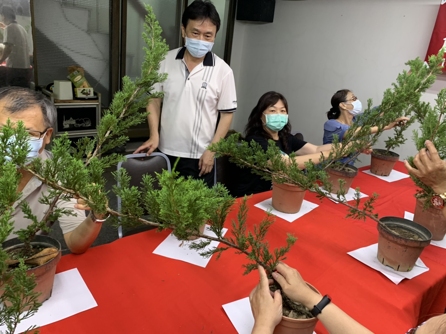 小品盆景創作班