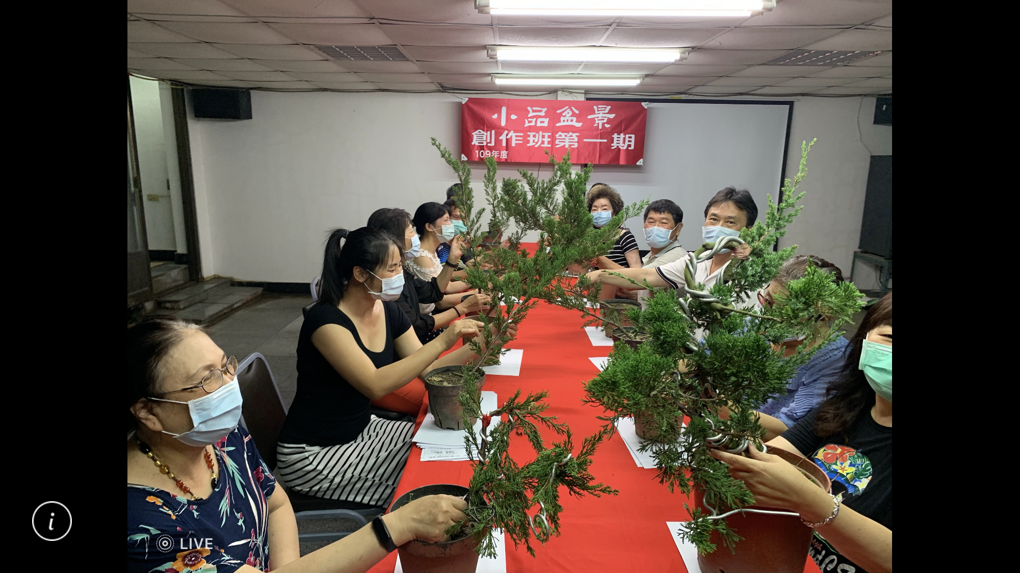 小品盆景創作班