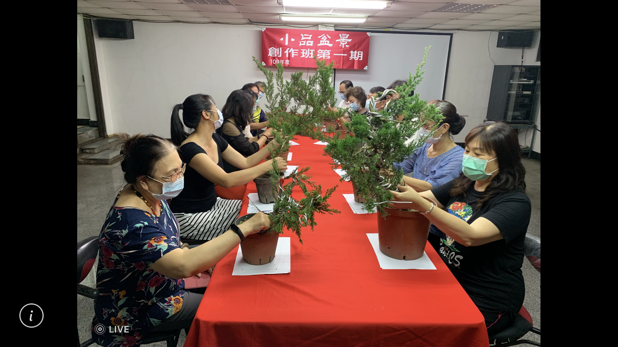 小品盆景創作班