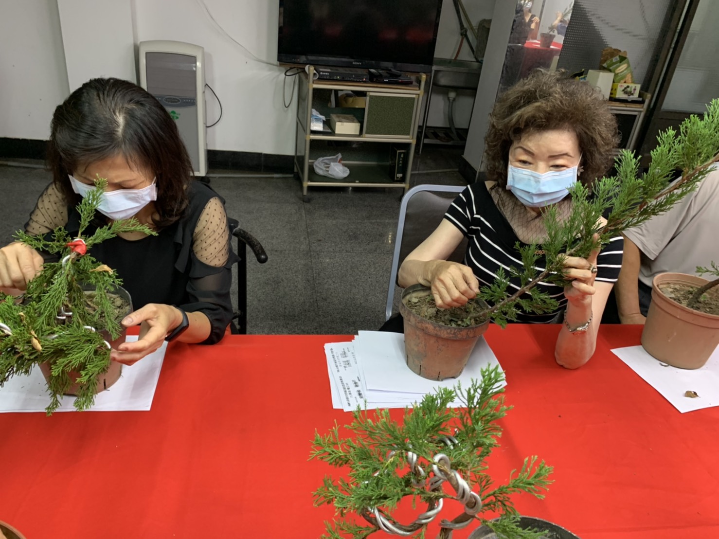 小品盆景創作班