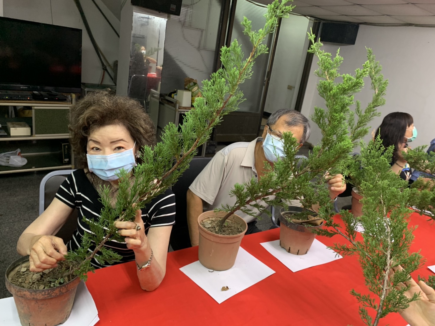 小品盆景創作班