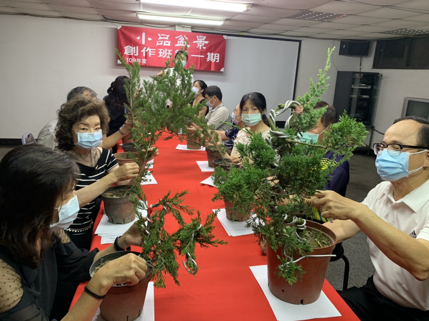 小品盆景創作班