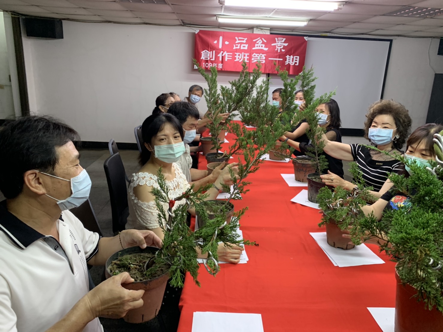 小品盆景創作班