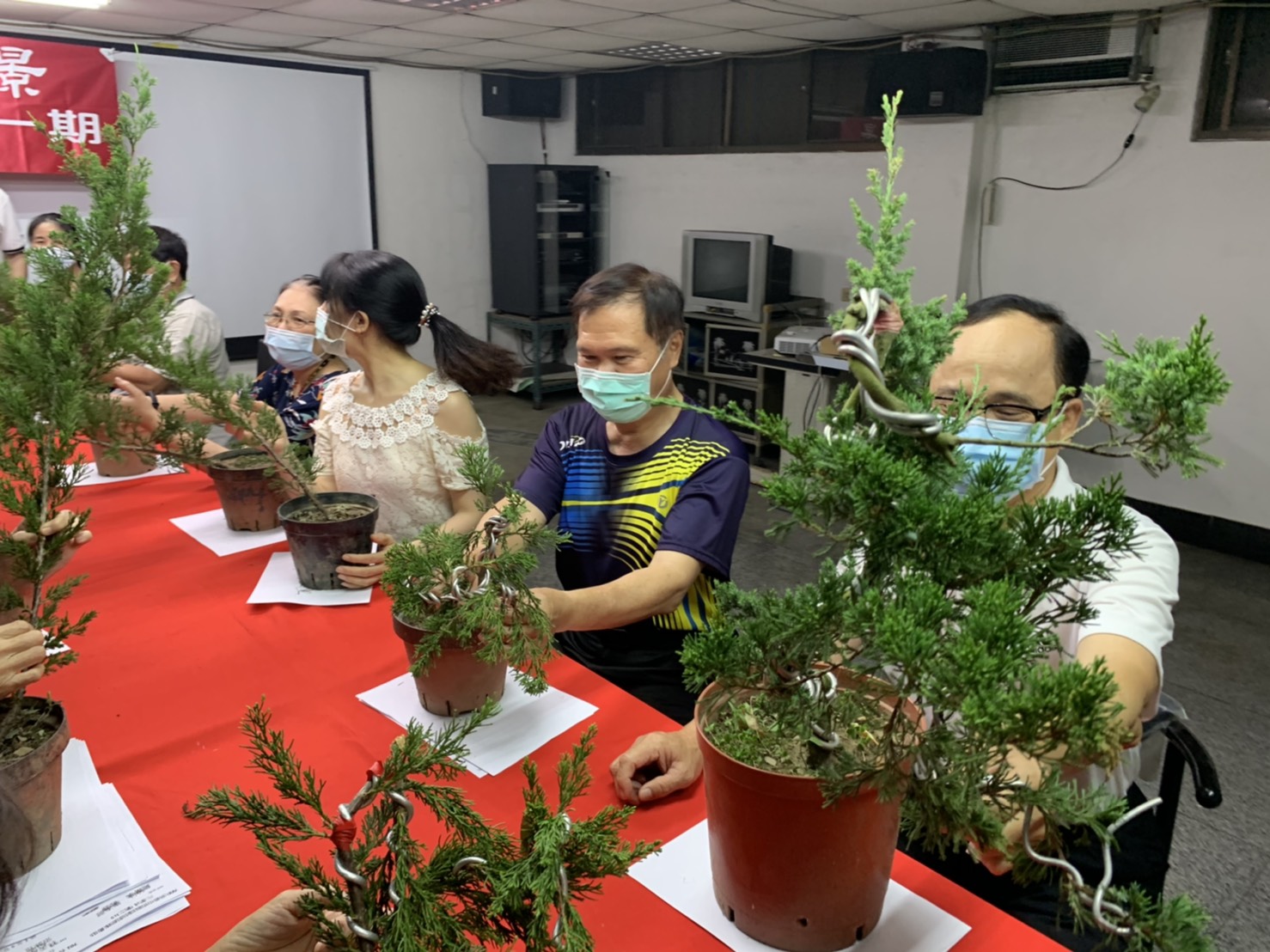 小品盆景創作班