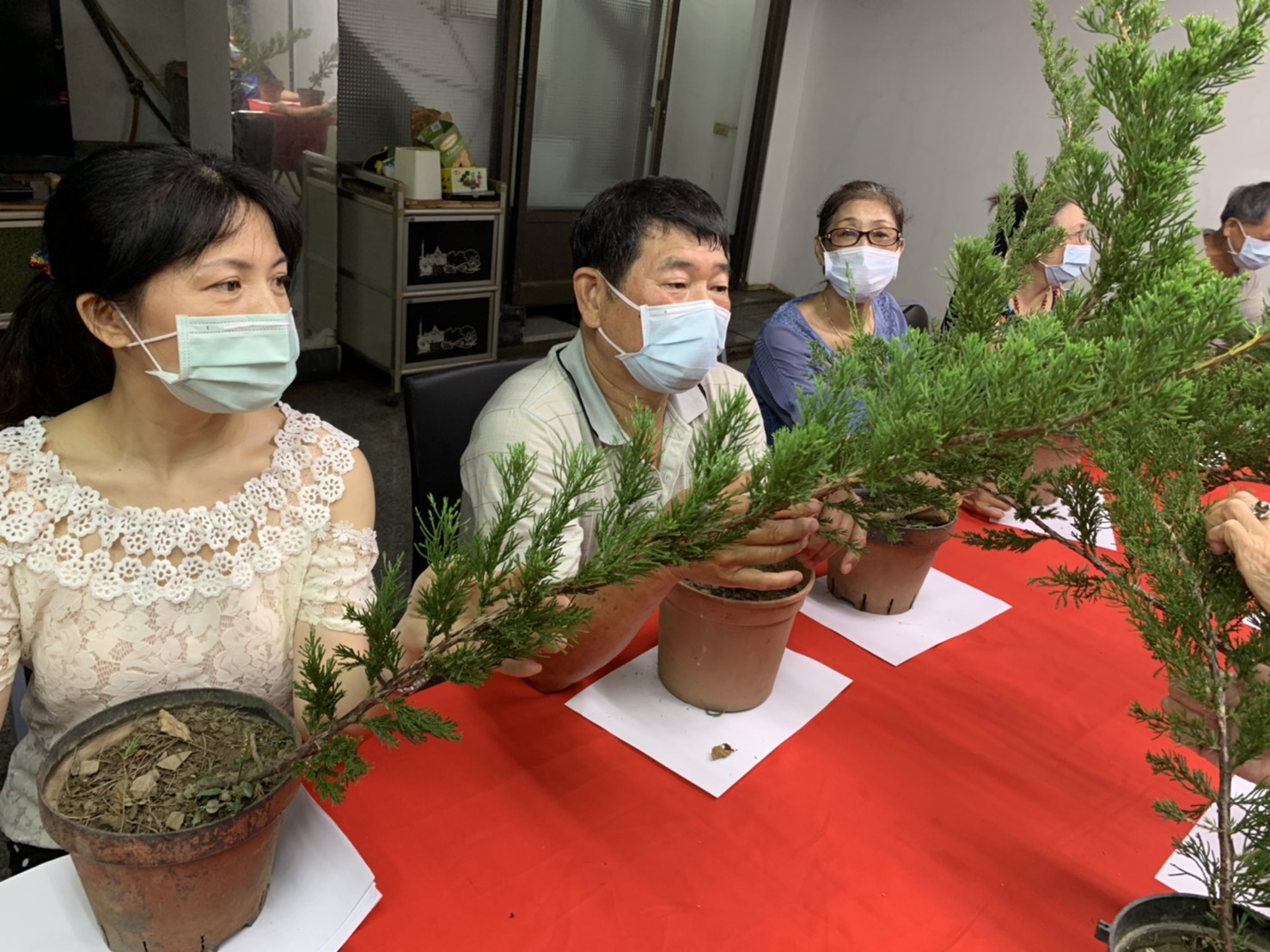 小品盆景創作班