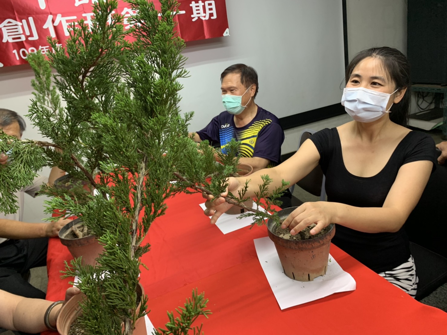 小品盆景創作班