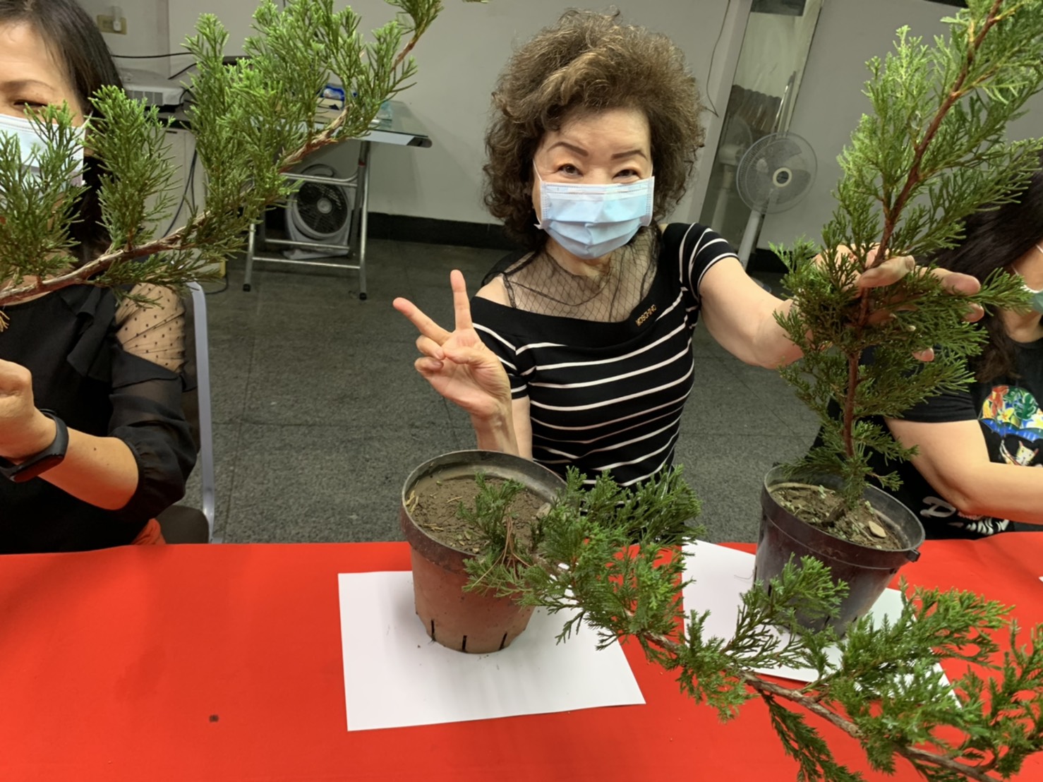 小品盆景創作班