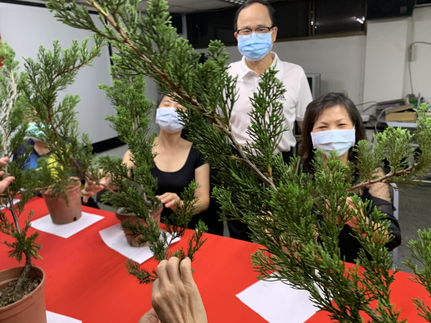 小品盆景創作班