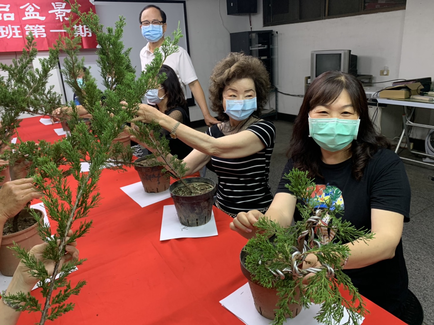 小品盆景創作班