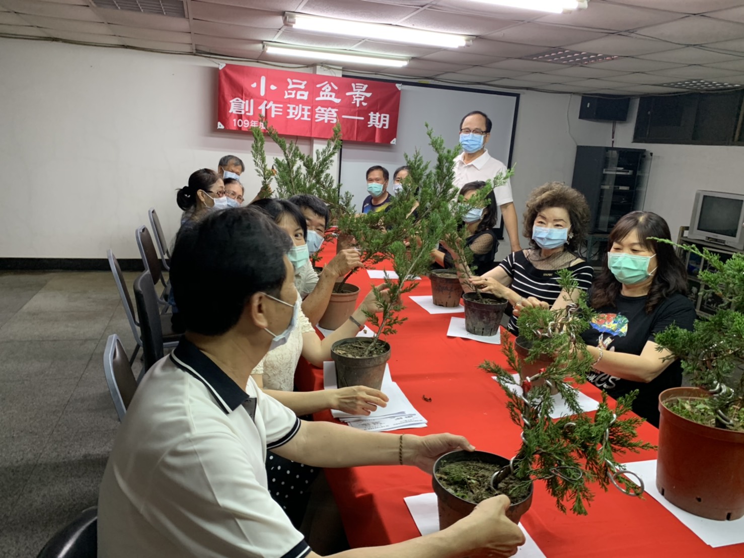 小品盆景創作班